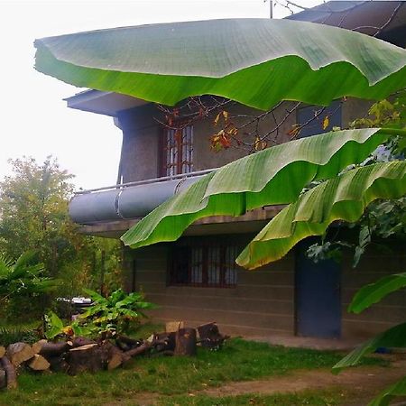Farmer'S Guest House Telavi Buitenkant foto